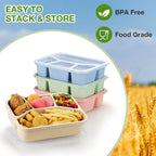 Bento Lunch Box 4 Pack - 4 Compartment Wheat Straw Meal Prep Containers for Kids, Toddlers, and Adults - BPA Free Reusable Food Storage for School, Work, and Travel - Flowly Home