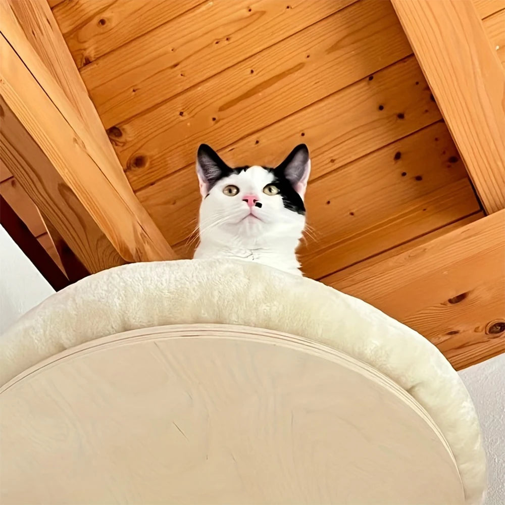 Cat Wall Mounted Furniture with Solid Wooden Climbing Ladder, Hammock, and Scratching Post for Indoor Cats